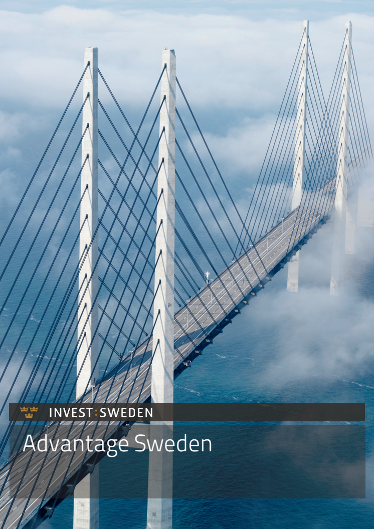 Advantage Sweden 2010/2011