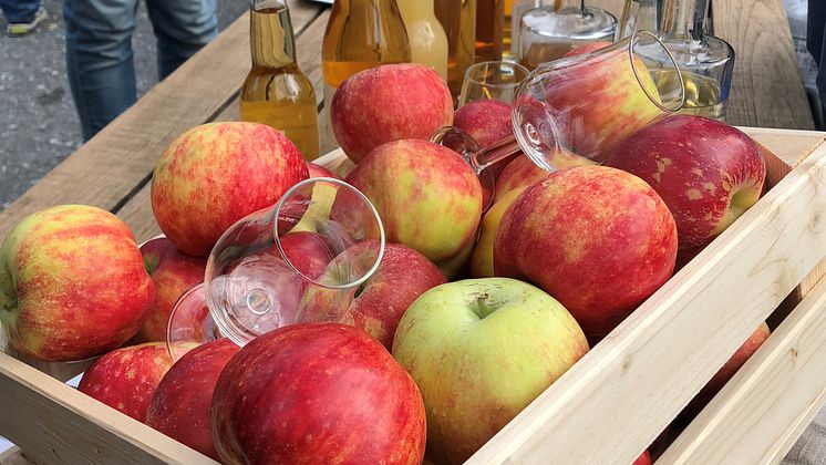 Äppelfest på Kungliga Djurgården med Cidermässa på Spritmuseum