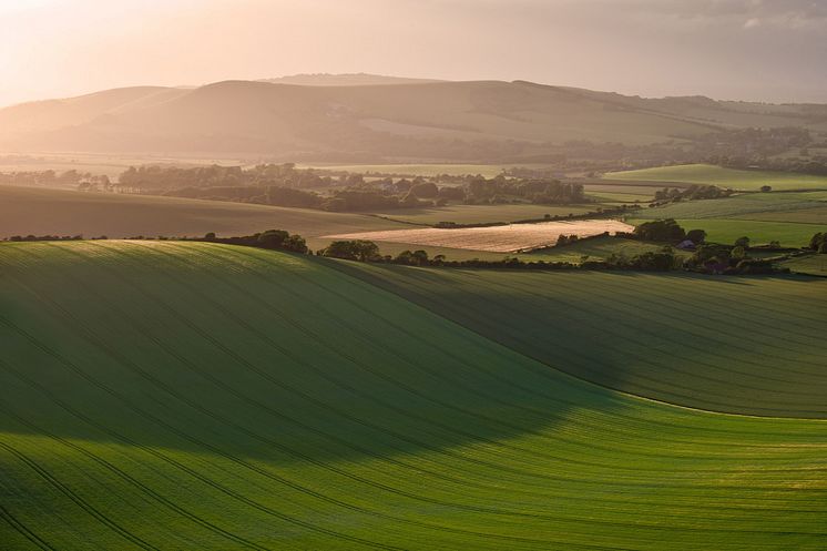 South Downs