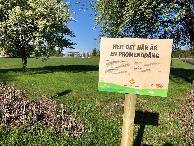 Promenadäng.jpg