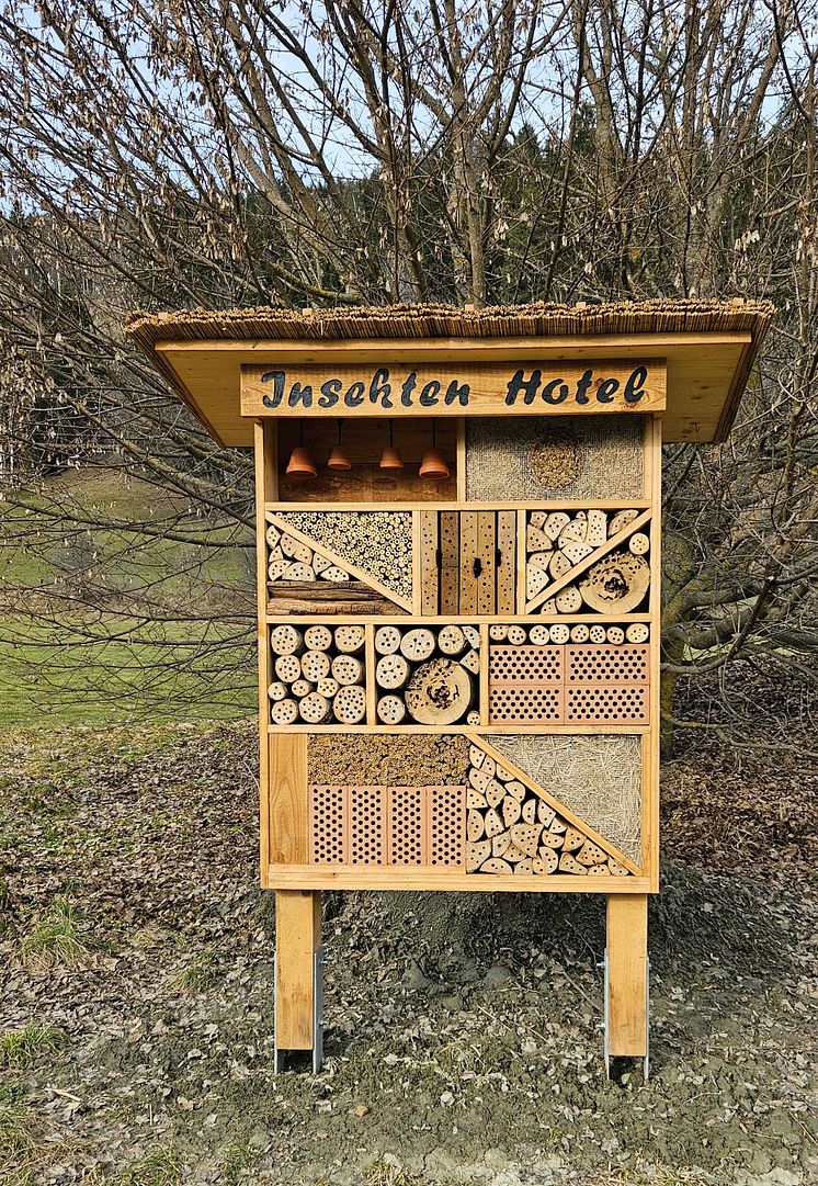 Insektenhotel Sagogn 