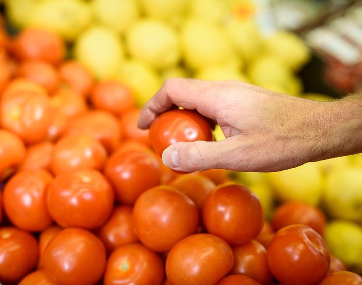 tomat citron hand