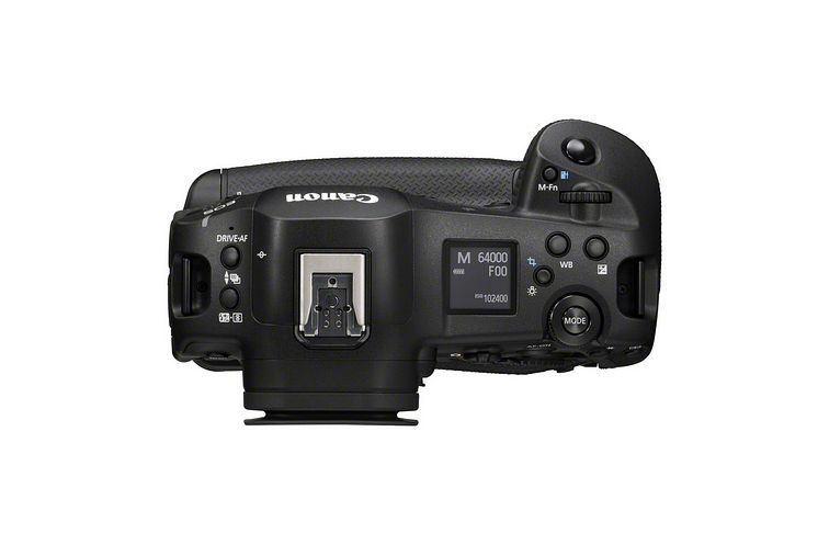 04 Canon EOS R1 Top BODY[1].jpg