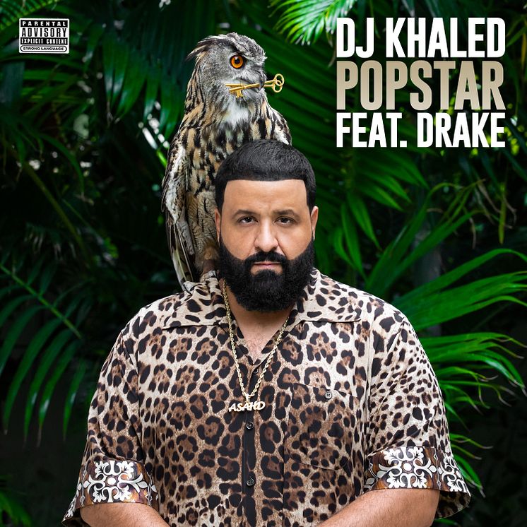 Dj Khaled - Popstar