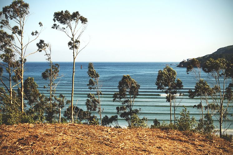 Det orörda surfparadiset Galicien