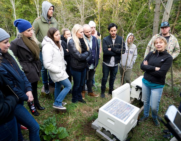 Kockar och servis från Fotografiska lär sig om bin