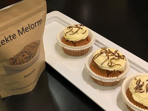 Gresskarmuffins med smørkrem og ristede melormer 