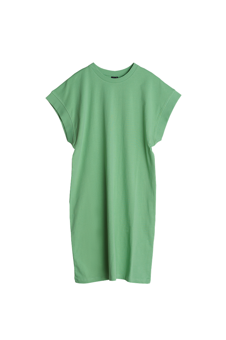 milly dress - light grass g