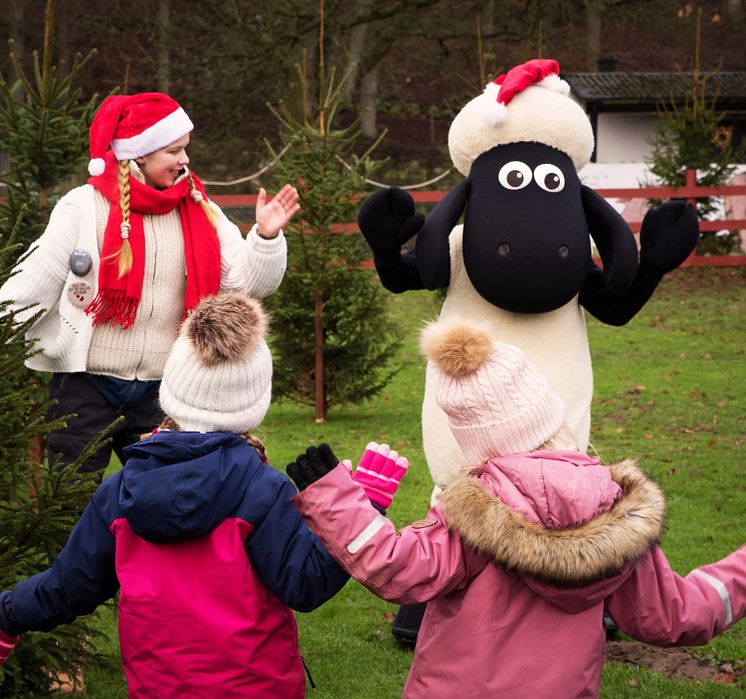 Fåret Shaun tar gärna en svängom kring en av de 50 granarna i "danshagen".