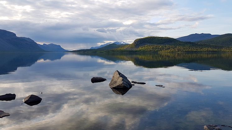 Langas - Saltoluokta