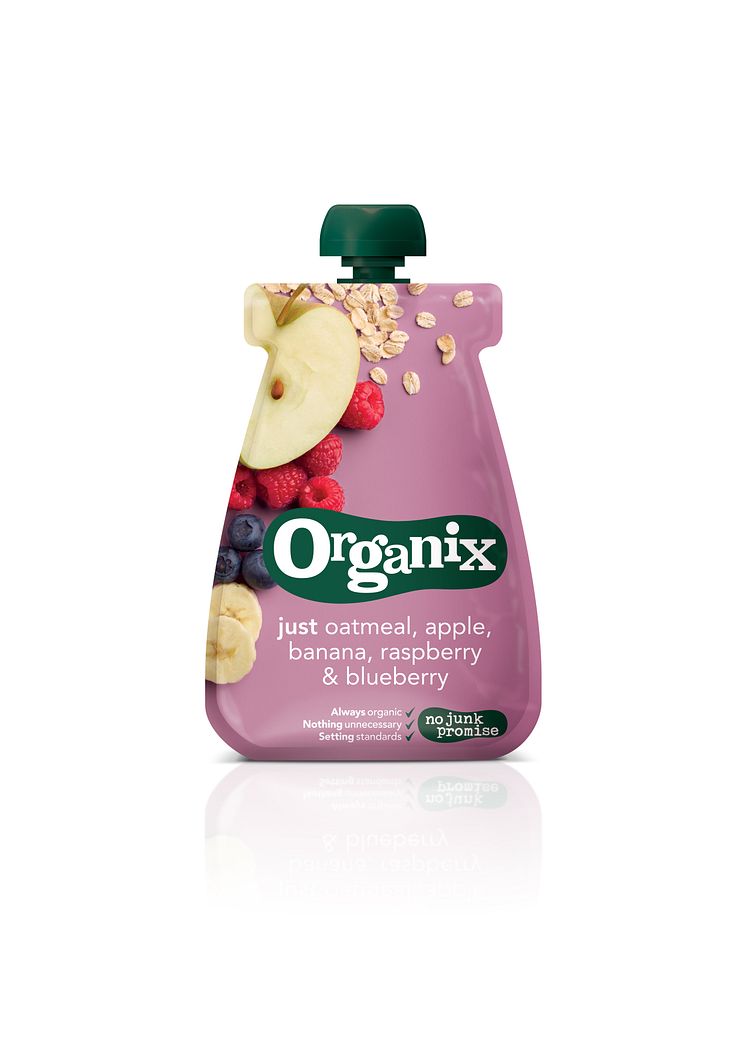 Organix Just oatmeal, apple, banana, raspberry & blueberry
