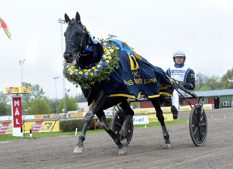 Gareth Boko klar för Elitloppet 2021