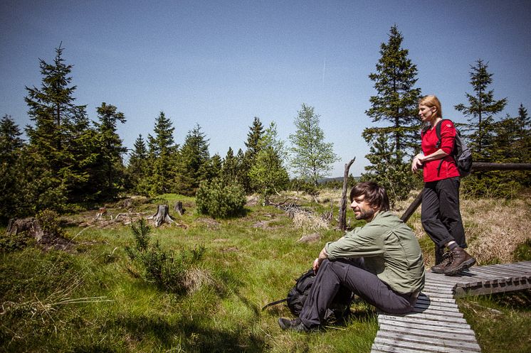 Georgenfelder Hochmoor Zinnwald_Foto TVE_Rene Gaens.jpg