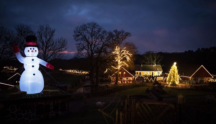 Djurens Jul i Skånes Djurpark