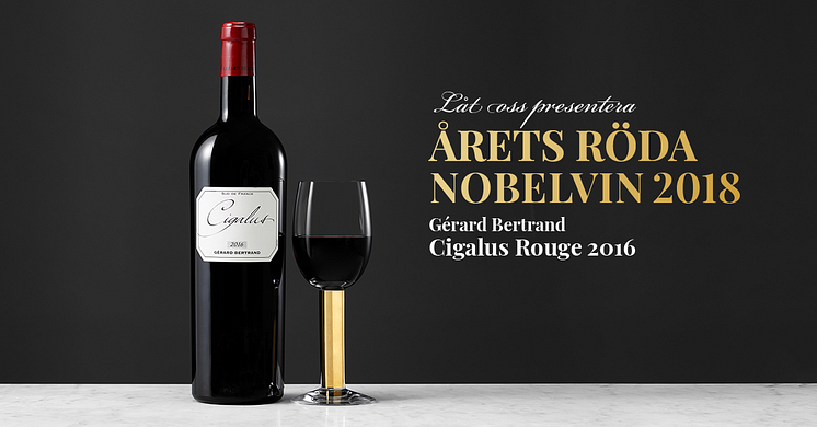 Nobelvinet2018_Cigalus rouge