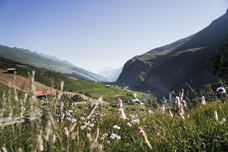 Nomady-Camp Gassli © Nomady