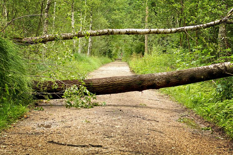 Unwetter_Bayern_Aufarbeitung_20082017_Symbolbild_Newsroom