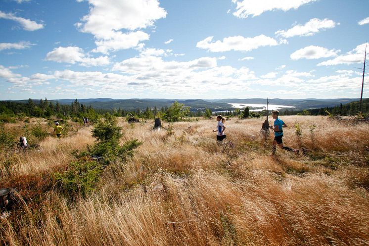 Järvloppet återkommer. Foto Destination Järvsö