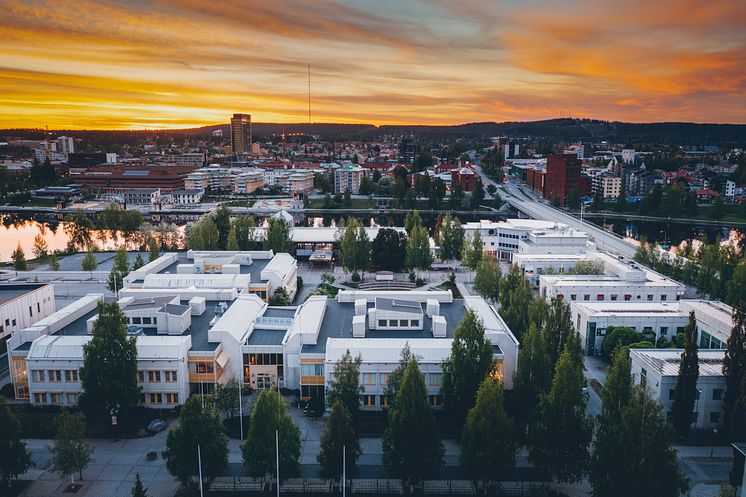 campus skellefteå