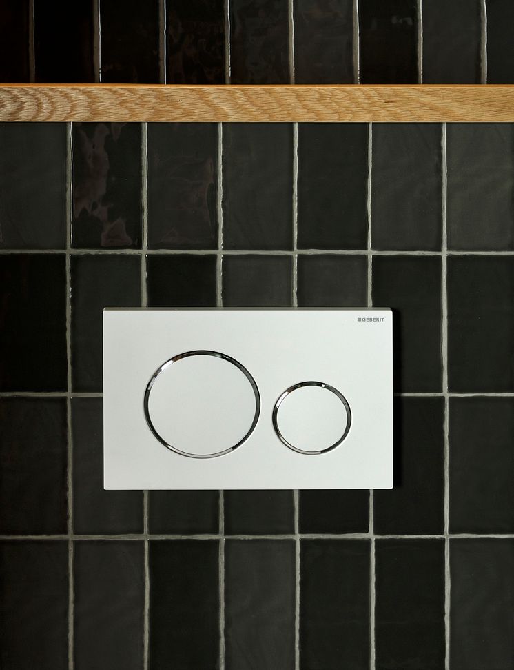 Geberit Sigma 20 -huuhtelupainike.jpg