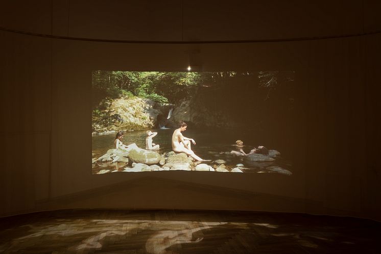 Laure Prouvost, Swallow, 2013