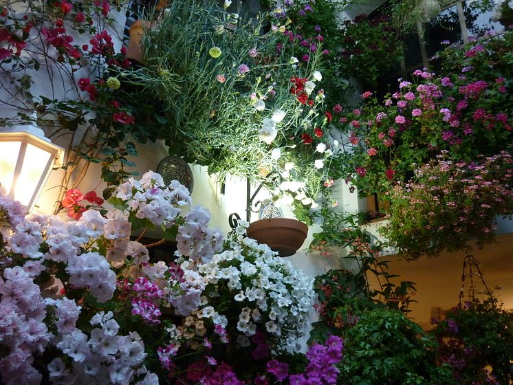 Blomsterfestivalen Patios de Córdoba, Andalusien