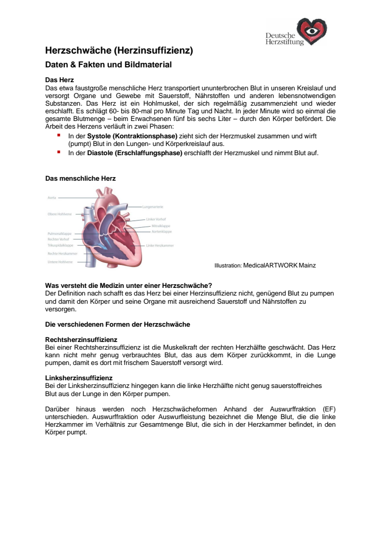HW2024_Herzschwäche_Daten_Fakten_FIN (1) (1).pdf