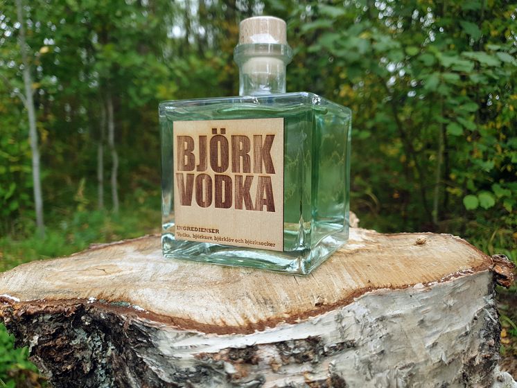 Björkvodka på björkstubbe