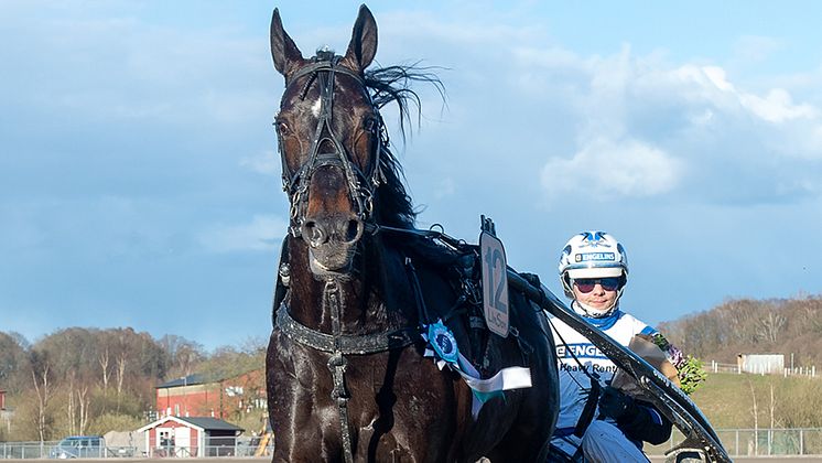 Aetos Kronos är inbjuden till Elitloppet 2021