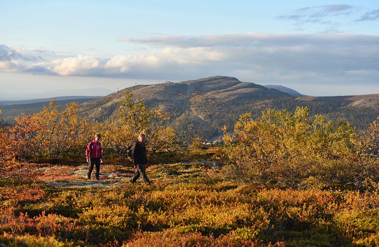 Höstvandring 