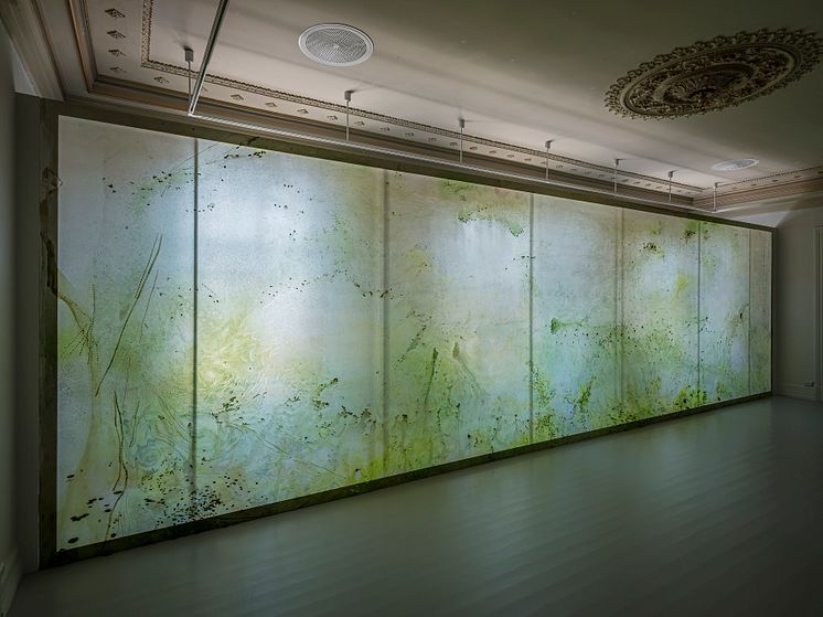 Alma Heikkilä these processes include plasticity, mutualistic symbiosis, and extinction 2020