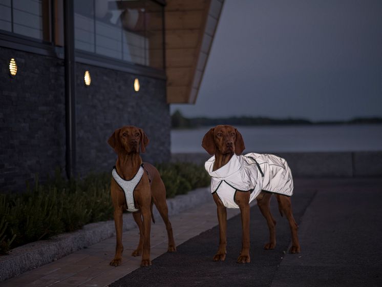 ArkenZoo_Feel_Active_Reflective_raincoat_harness