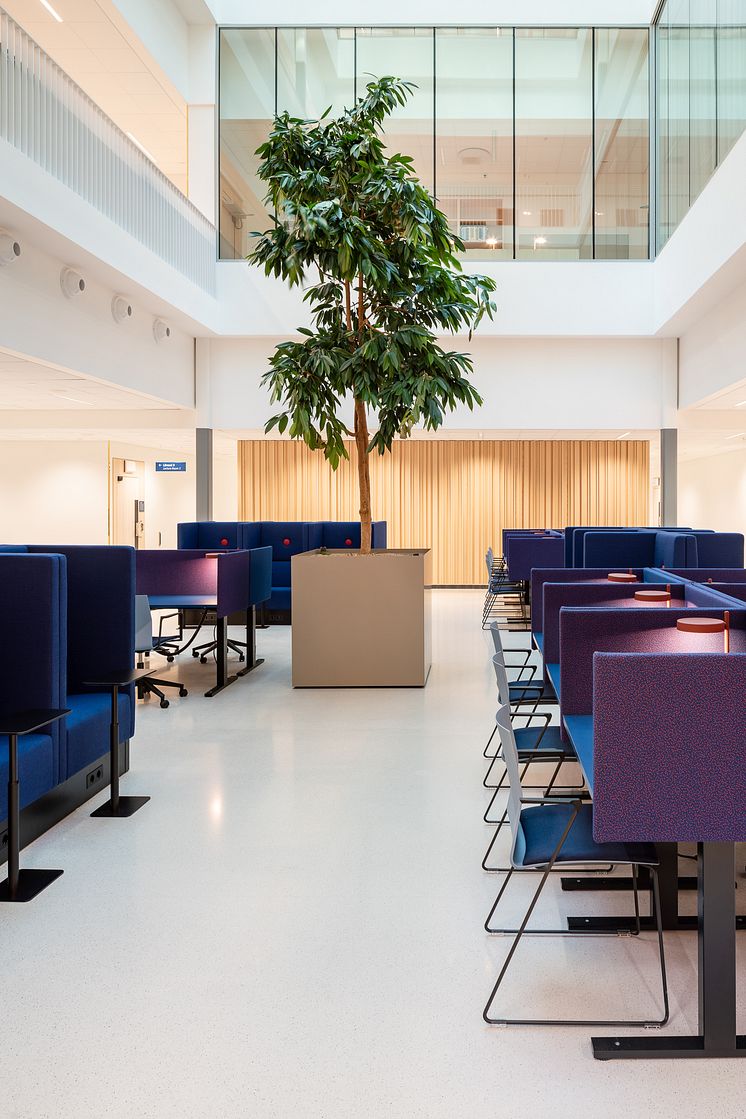 Campus Albano, LINK Arkitektur