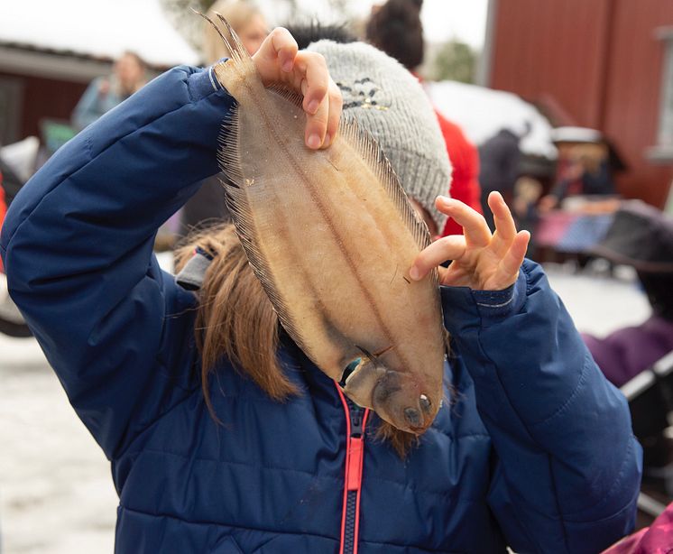 Fiskemoro på Geitmyra 