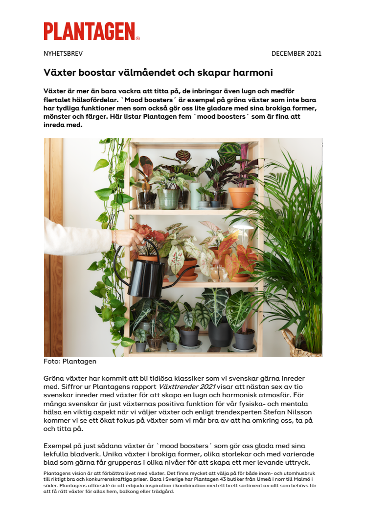 NYHETSBREV - Växter boostar välmåendet och skapar harmoni.pdf
