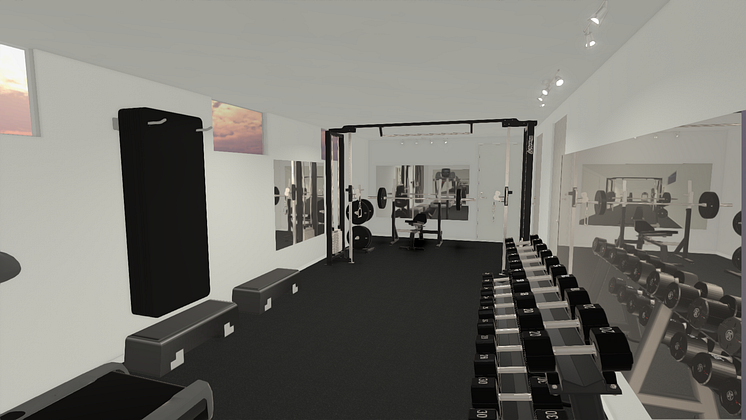 3D_Hanna_Oberg_Gym_img1.png