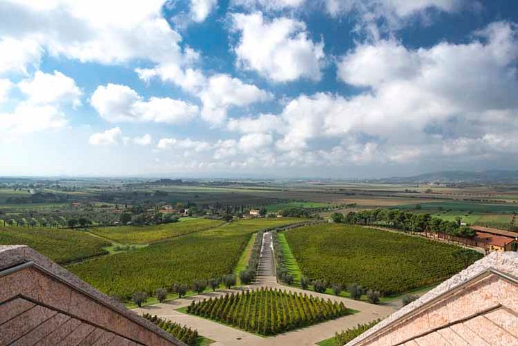 Petra Wines, Italien. Utsikt från taket på vingården.