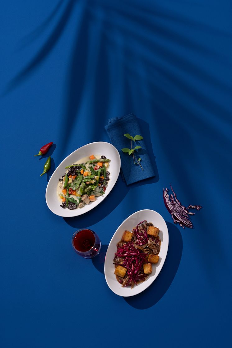 Discover Airlines x Lukas Jakobi_Curry_Duck-min