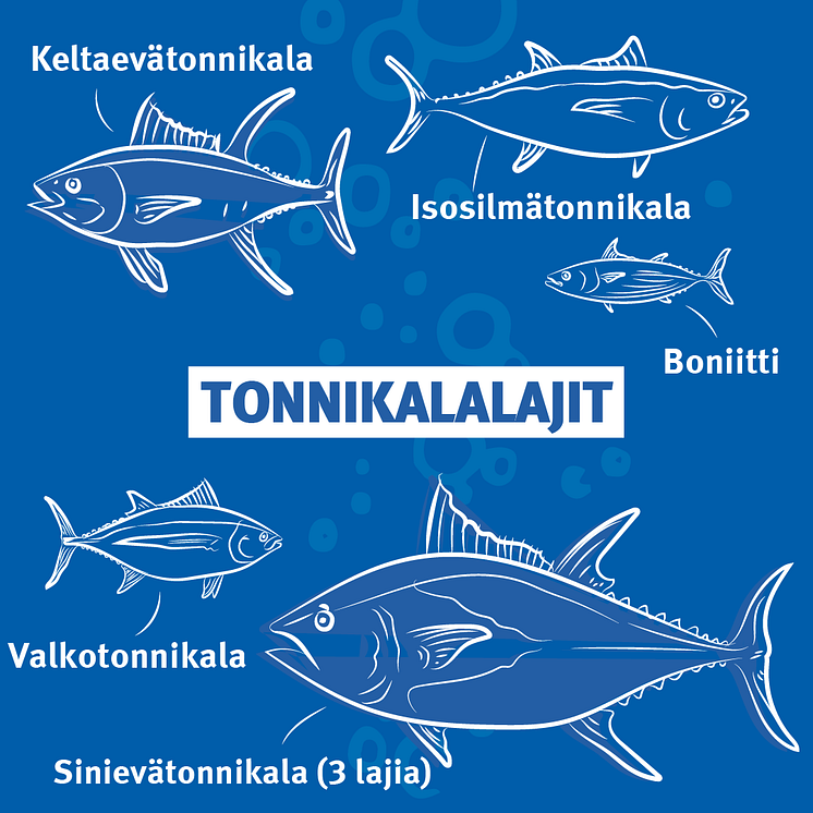 RS14540_Tuna_Species_FI.png