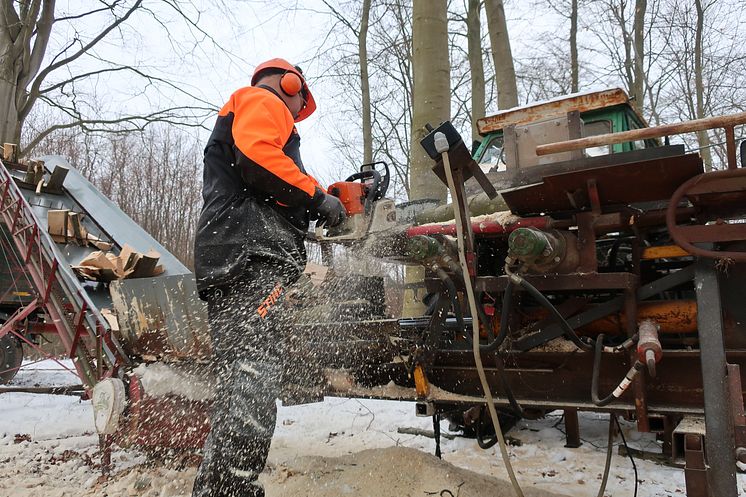 STIHL MS 361 er hjertet i savværket