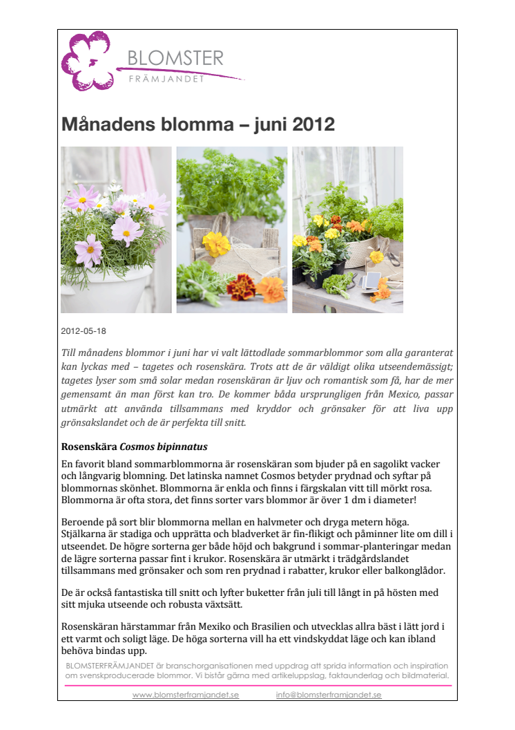 Månadens blomma – juni 2012