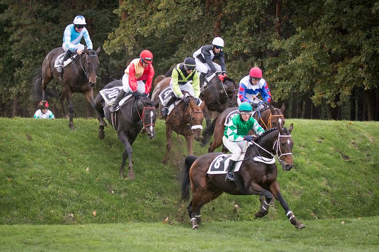 Niklas Lovén och Delight My Fire (rött/gult) över den irländska banken i Pardubice