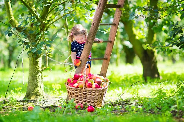 AdobeStock_69689751-1024x682