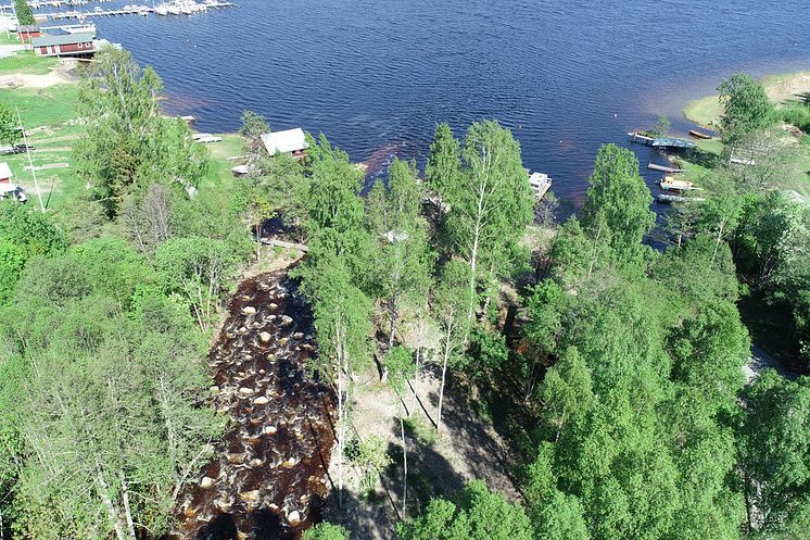 Nu införs nytt fredningsområde i Gävleborgs län 