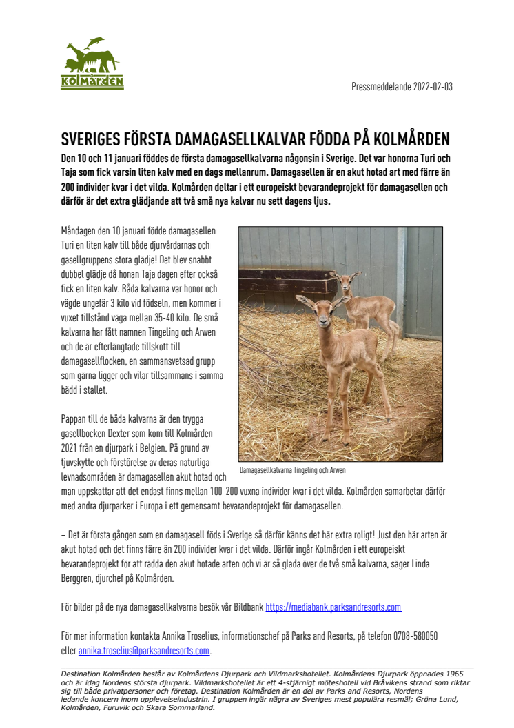 Sveriges första damagasellkalvar födda på Kolmården.pdf