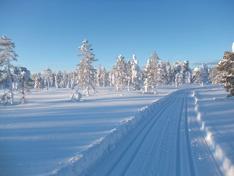 Skidspår i Harsa