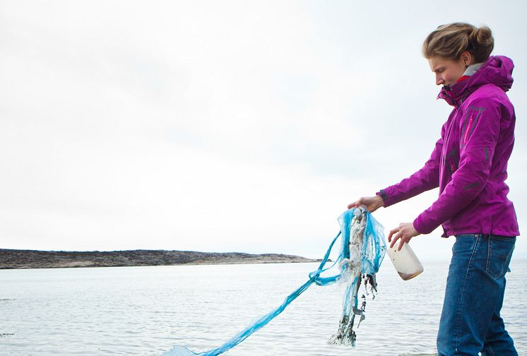 HaV ger fyra miljoner för att minska skräpet i Östersjön och Västerhavet