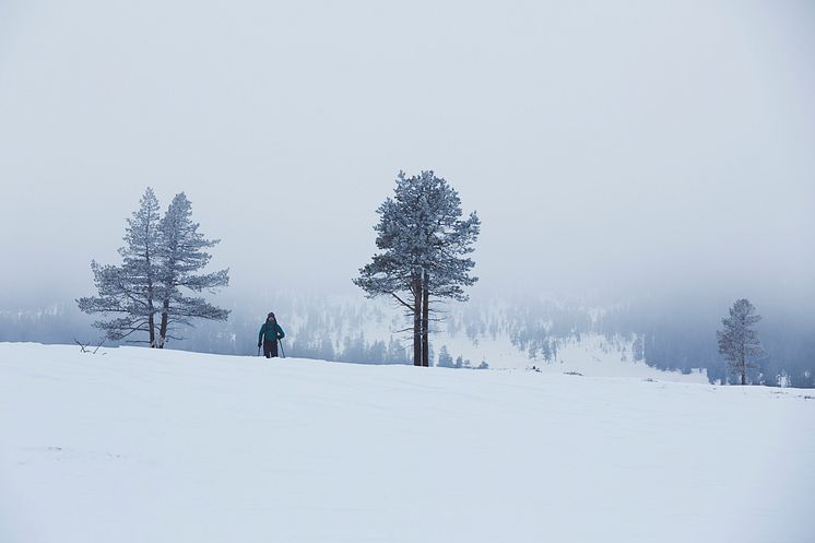 Haglofs_Ski touring