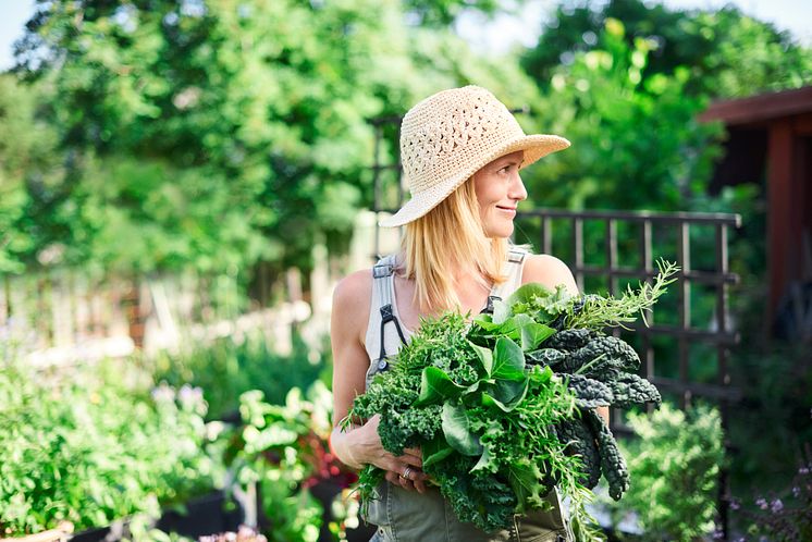 Plantagen_Trädgården som terapi_11.jpg