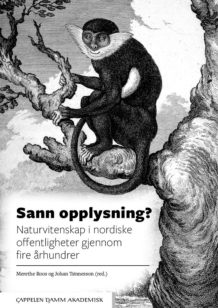 Omslagsforside Sann opplysning?